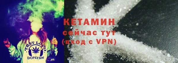 прущая мука Вяземский