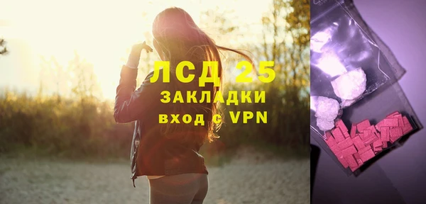 прущая мука Вяземский