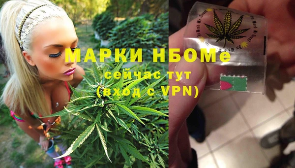 прущая мука Вяземский