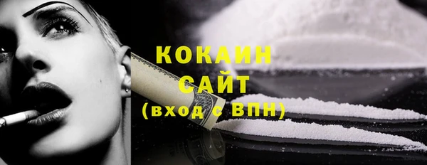прущая мука Вяземский