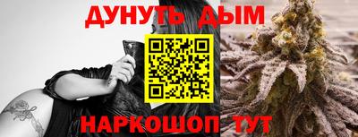 гидра Гатчина
