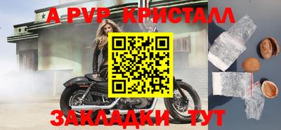 гидра Гатчина