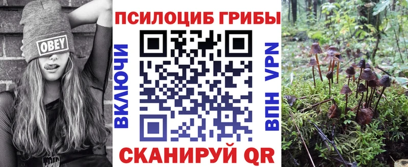 сколько стоит Десногорск Псилоцибиновые грибы Psilocybine cubensis
