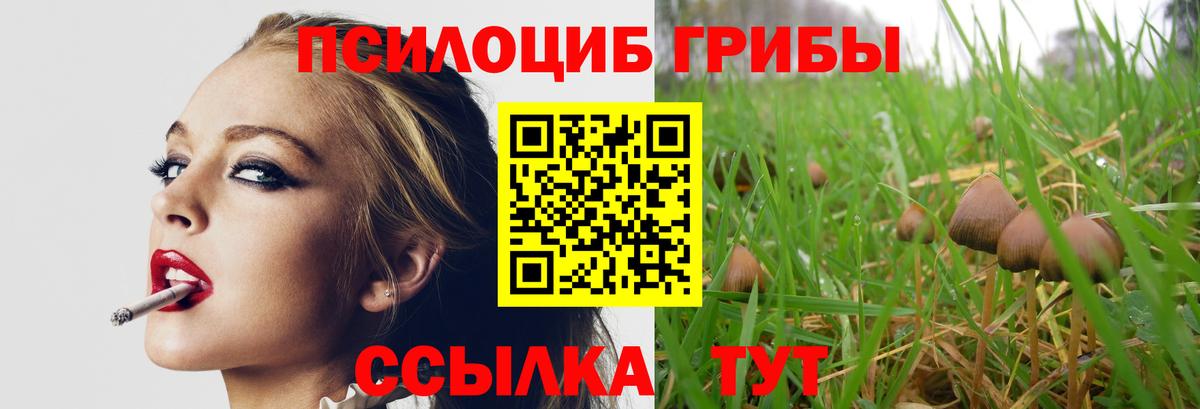Десногорск  Галлюциногенные грибы ЛСД  Вход с VPN 